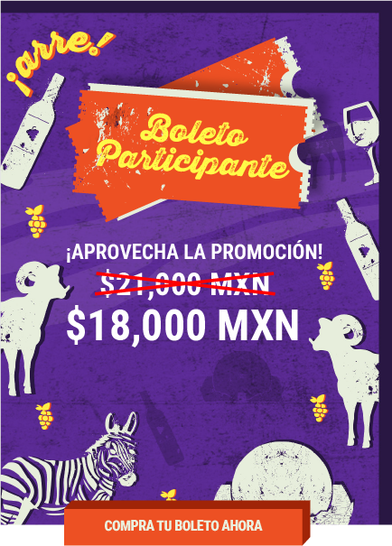 Promo 3